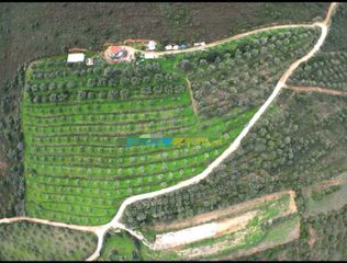 Αγροτεμάχια 18.000 τ.μ. για πώληση, Αργολίδα, Ναύπλιο-thumb-1