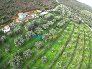 Αγροτεμάχια 18.000 τ.μ. για πώληση, Αργολίδα, Ναύπλιο-thumb-2