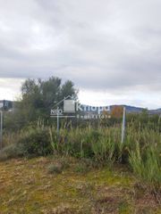 Αγροτεμάχια 4.800 τ.μ. για πώληση