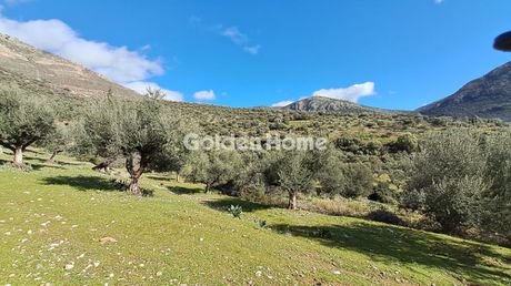 Οικόπεδο 1.713 τ.μ. για πώληση