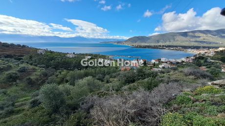 Οικόπεδο 13.500 τ.μ. για πώληση