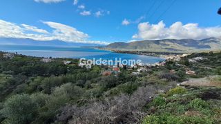 Οικόπεδο 13.500 τ.μ. για πώληση, Φωκίδα, Τολοφώνα-thumb-1