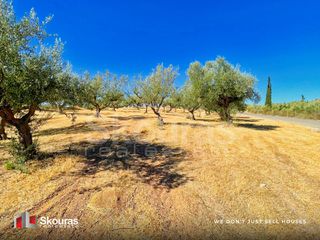 Αγροτεμάχια 10.576 τ.μ. για πώληση, Μεσσηνία, Άριο-thumb-24
