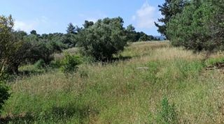 Οικόπεδο 8.200 τ.μ. για πώληση