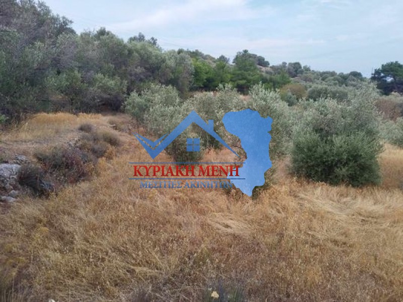 Αγροτεμάχια 2.783,05 τ.μ. προς πώληση, Ομηρούπολη