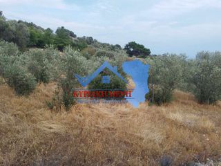 Αγροτεμάχια 2.783,05 τ.μ. για πώληση