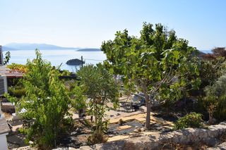 Διαμέρισμα 44 τ.μ. για πώληση, Αργολίδα, Ασίνη-thumb-21