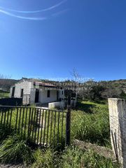 Αγροτεμάχια 5.422 τ.μ. για πώληση