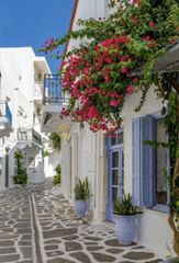 Αγροτεμάχια 9.500 τ.μ. για πώληση