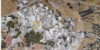 Αγροτεμάχια 10.000 τ.μ. για πώληση
