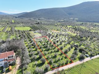 Αγροτεμάχια 2.109 τ.μ. για πώληση