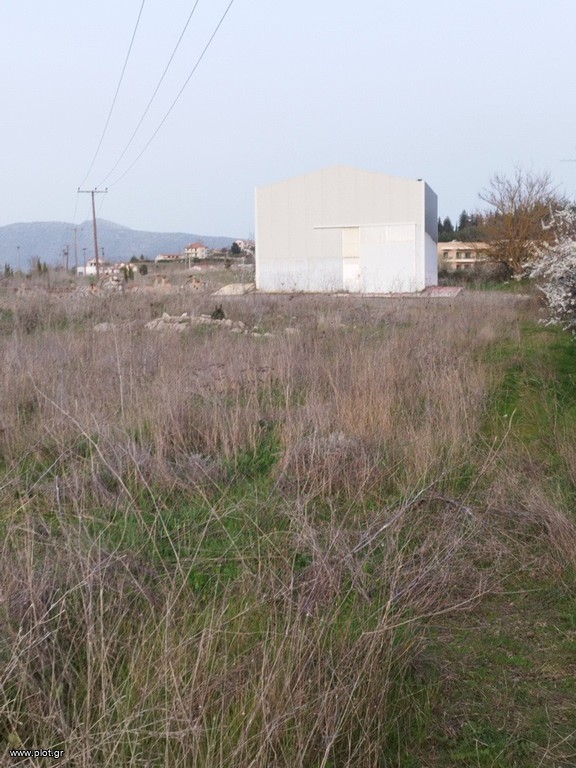 Βιομηχανικός χώρος 180 τ.μ. πρός πώληση, Αρκαδία, Τρίπολη