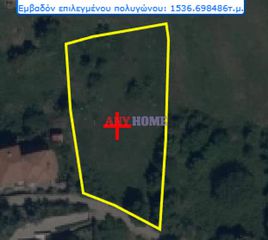 Αγροτεμάχια 1.632 τ.μ. για πώληση