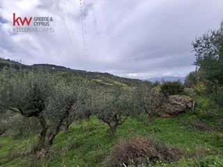 Οικόπεδο 4.000 τ.μ. για πώληση, Αχαΐα, Αιγιάλεια-thumb-4