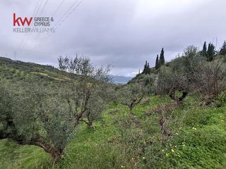 Οικόπεδο 4.000 τ.μ. για πώληση, Αχαΐα, Αιγιάλεια-thumb-5