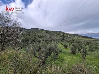 Οικόπεδο 4.000 τ.μ. για πώληση, Αχαΐα, Αιγιάλεια-thumb-7
