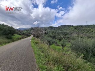 Οικόπεδο 4.000 τ.μ. για πώληση, Αχαΐα, Αιγιάλεια-thumb-1