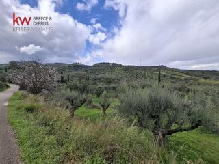 Οικόπεδο 4.000 τ.μ. για πώληση, Αχαΐα, Αιγιάλεια-thumb-3