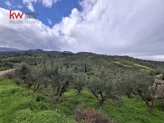 Οικόπεδο 4.000 τ.μ. για πώληση, Αχαΐα, Αιγιάλεια-thumb-6