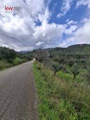 Οικόπεδο 4.000 τ.μ. για πώληση, Αχαΐα, Αιγιάλεια-thumb-2