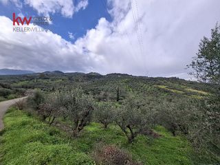 Οικόπεδο 4.000 τ.μ. για πώληση