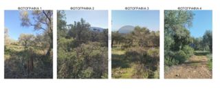 Αγροτεμάχια 2.738 τ.μ. για πώληση, Μαγνησία, Τρικέρι-thumb-4