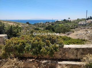 Αγροτεμάχια 32.000 τ.μ. για πώληση