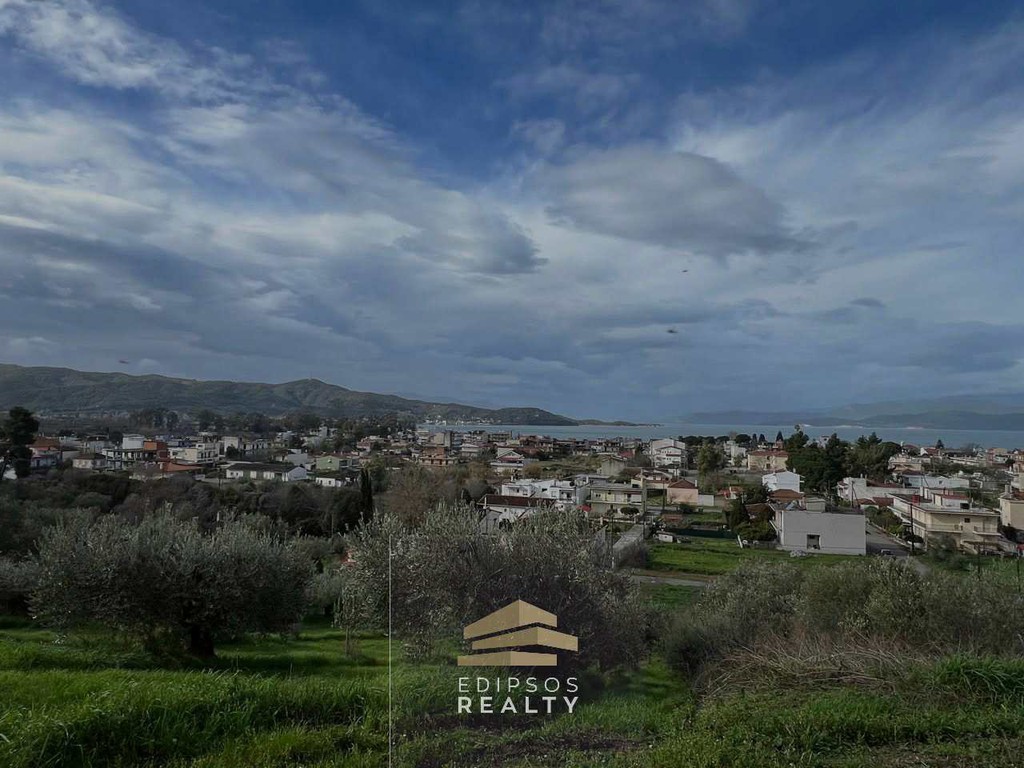 Οικόπεδο 5.553 τ.μ. προς πώληση, Ωρεοί
