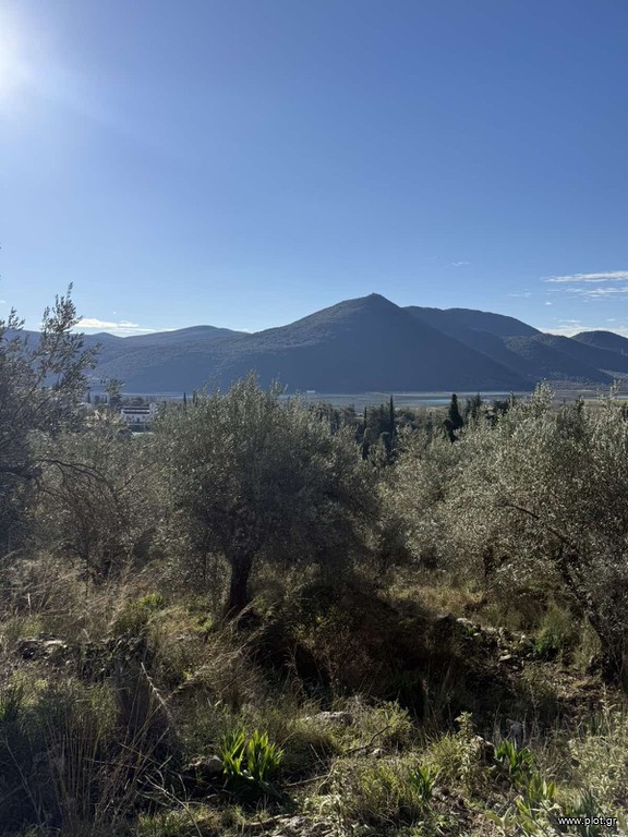Αγροτεμάχια 8.502 τ.μ. πρός πώληση, Θεσπρωτία, Παραμυθιά