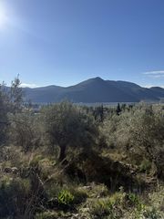 Αγροτεμάχια 8.502 τ.μ. για πώληση, Θεσπρωτία, Παραμυθιά-thumb-3