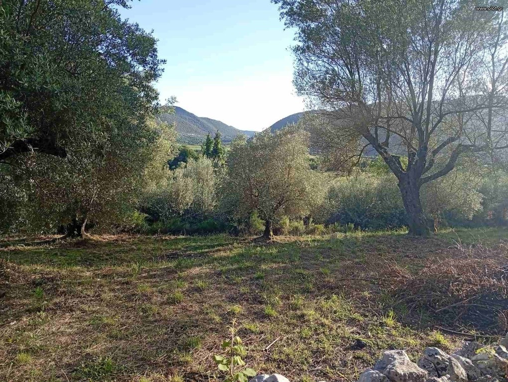 Αγροτεμάχια 8.502 τ.μ. πρός πώληση, Θεσπρωτία, Παραμυθιά