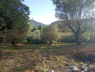Αγροτεμάχια 8.502 τ.μ. για πώληση, Θεσπρωτία, Παραμυθιά-thumb-4