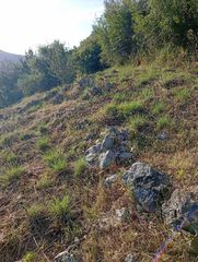 Αγροτεμάχια 8.502 τ.μ. για πώληση, Θεσπρωτία, Παραμυθιά-thumb-5