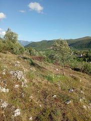 Αγροτεμάχια 8.502 τ.μ. για πώληση, Θεσπρωτία, Παραμυθιά-thumb-6