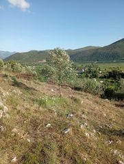 Αγροτεμάχια 8.502 τ.μ. για πώληση, Θεσπρωτία, Παραμυθιά-thumb-11