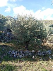 Αγροτεμάχια 8.502 τ.μ. για πώληση, Θεσπρωτία, Παραμυθιά-thumb-17