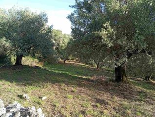 Αγροτεμάχια 8.502 τ.μ. για πώληση, Θεσπρωτία, Παραμυθιά-thumb-18