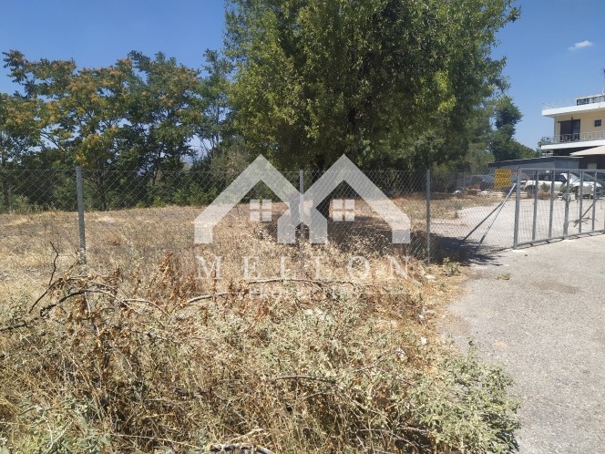 Οικόπεδο 610 τ.μ. πρός ενοικίαση, Αθήνα - Βόρεια Προάστια, Κηφισιά