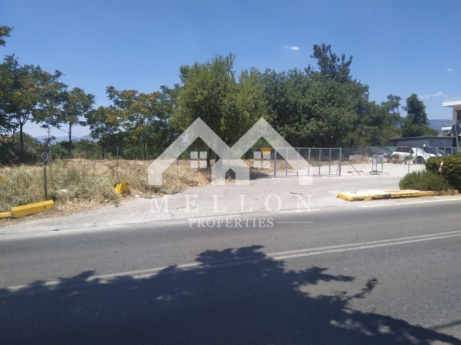Οικόπεδο 610 τ.μ. πρός ενοικίαση, Αθήνα - Βόρεια Προάστια, Κηφισιά