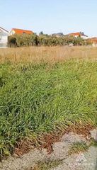 Οικόπεδο 1.500 τ.μ. προς πώληση, Μακρύγιαλος Μεθώνης-thumb-4