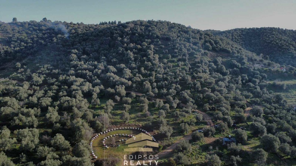 Αγροτεμάχια 6.224 τ.μ. προς πώληση, Αιδηψός