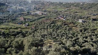 Αγροτεμάχια 6.224 τ.μ. για πώληση, Εύβοια, Αιδηψός-thumb-2