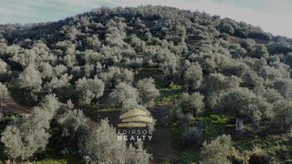 Αγροτεμάχια 6.224 τ.μ. για πώληση, Εύβοια, Αιδηψός-thumb-9
