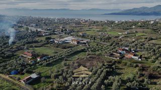 Αγροτεμάχια 6.224 τ.μ. για πώληση, Εύβοια, Αιδηψός-thumb-1