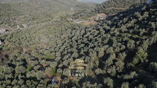 Αγροτεμάχια 6.224 τ.μ. για πώληση, Εύβοια, Αιδηψός-thumb-8