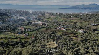 Αγροτεμάχια 6.224 τ.μ. για πώληση, Εύβοια, Αιδηψός-thumb-6