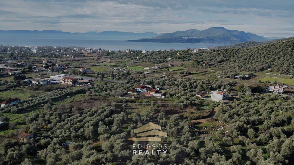 Αγροτεμάχια 6.224 τ.μ. προς πώληση, Αιδηψός
