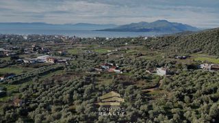 Αγροτεμάχια 6.224 τ.μ. για πώληση, Εύβοια, Αιδηψός-thumb-4