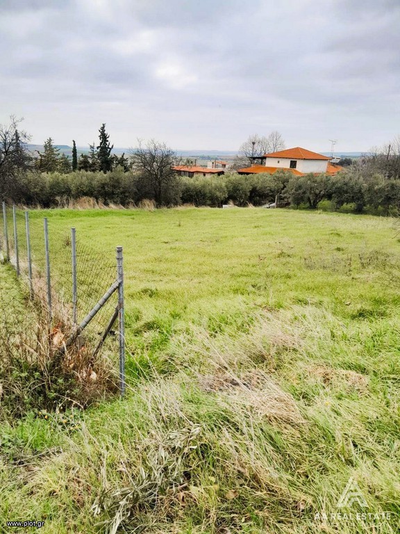 Οικόπεδο 1.000 τ.μ. πρός πώληση, Χαλκιδική, Τριγλία