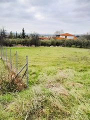 Οικόπεδο 1.000 τ.μ. για πώληση